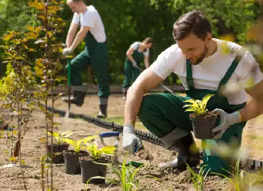 httpselements.envato.comcreating a beautiful garden from scratch pz8y5dc ga2.18181433.1456929163.1679720377 1694604314.1652060641