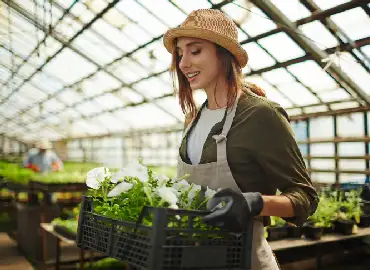 httpselements.envato.comgrowing petunias pae5hl3 ga2.12917047.1456929163.1679720377 1694604314.1652060641