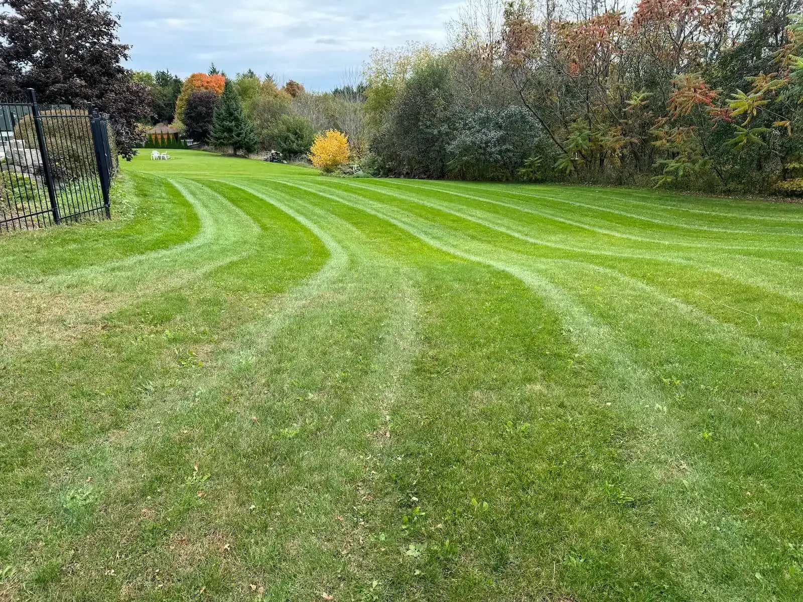 lawn mowing h2