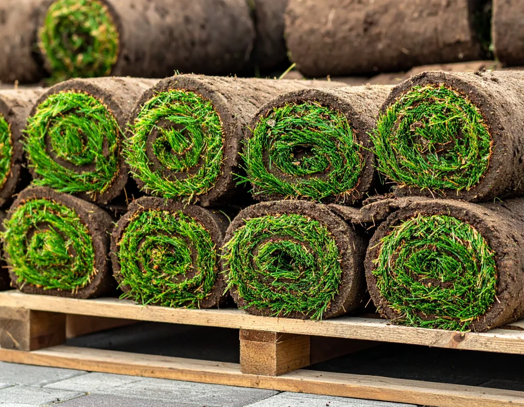 TOP 5 Sodding Maintenance Tips to Keep Your Oakville Lawn Lush