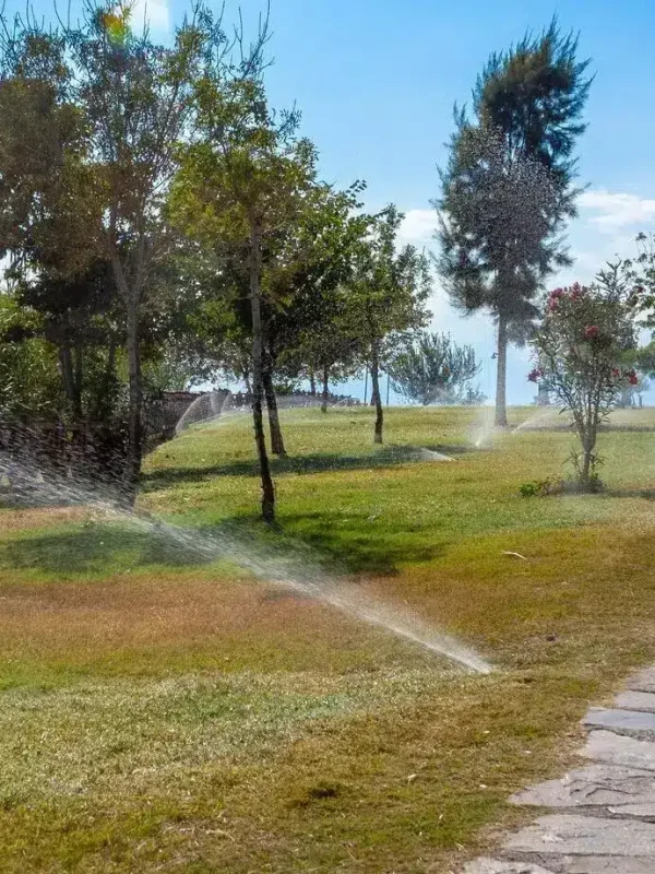 commercial-tree-shrub-pruning-and-care-h2