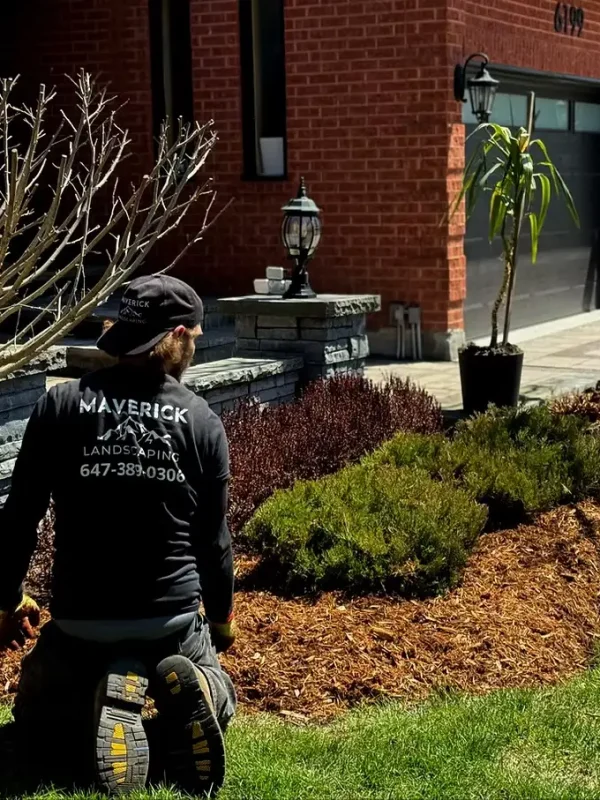 fall-clean-ups-proc