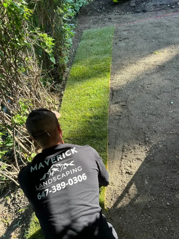 landscape-architect-services-h2