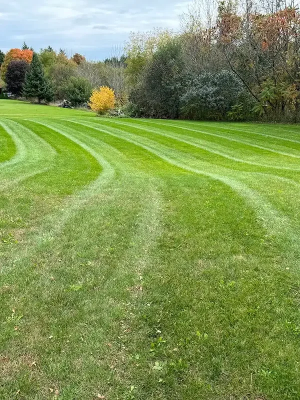 lawn-mowing-h2