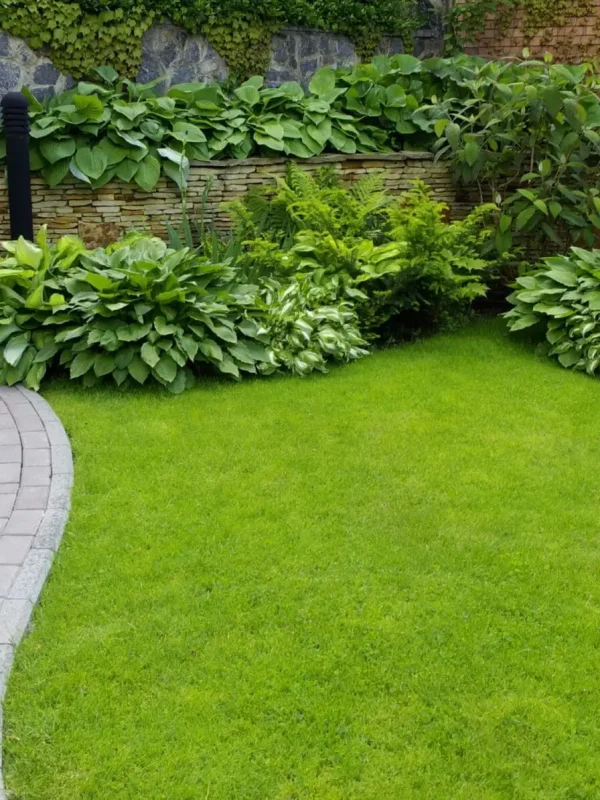 lawn-mowing-proc