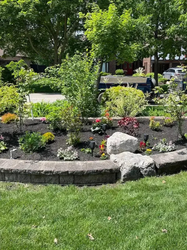 low-maintenance-full-sun-landscape-design-h2