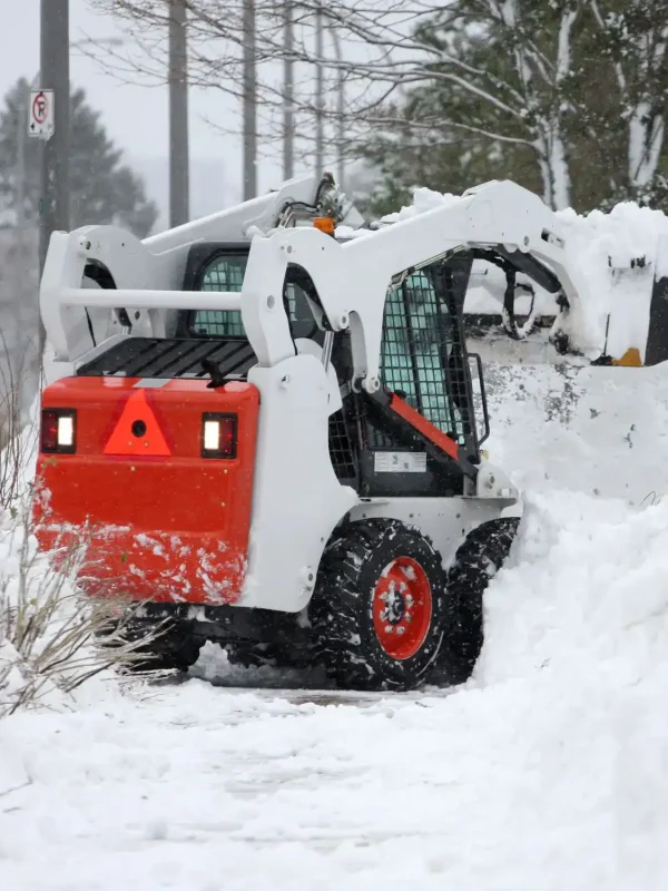 snow-removal-proc