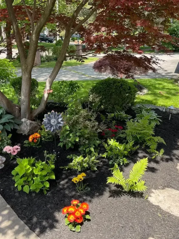 xeriscaping-drought-tolerant-planting-h2